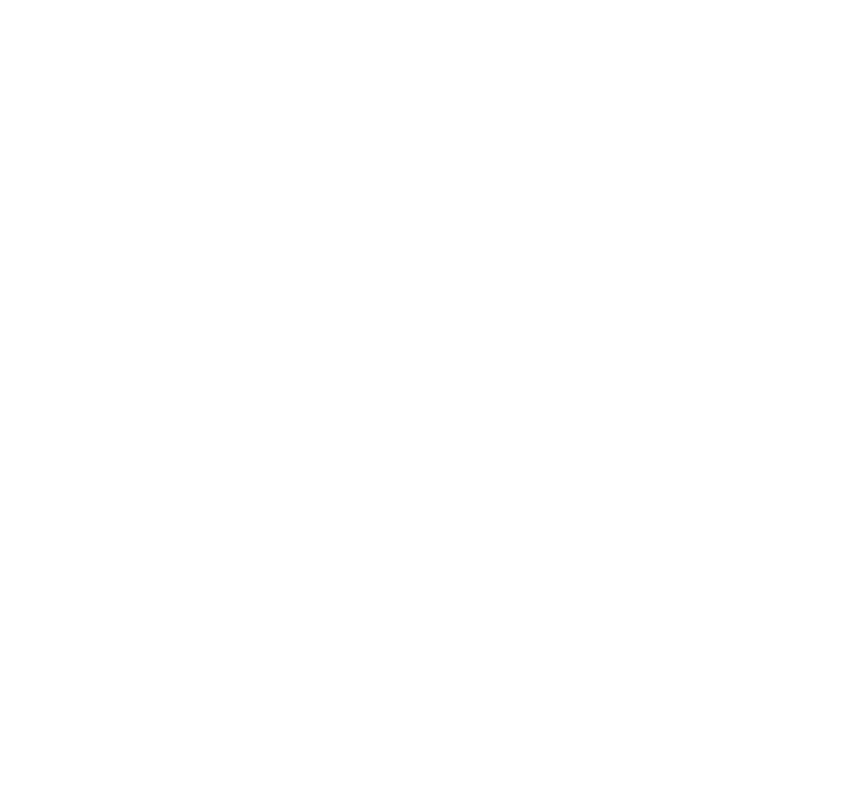 logo light
